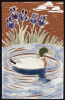 Mallard Duck