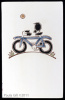 Crow on Blue Bike