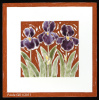 Irises
