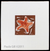 Orange Starfish