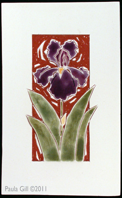 Bearded Iris
