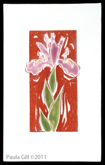 Purple Flag Iris