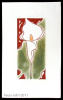 Calla Lily