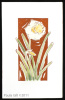 Daffodil