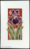 Bearded Iris