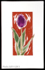 Purple Tulip