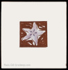 Purple Starfish